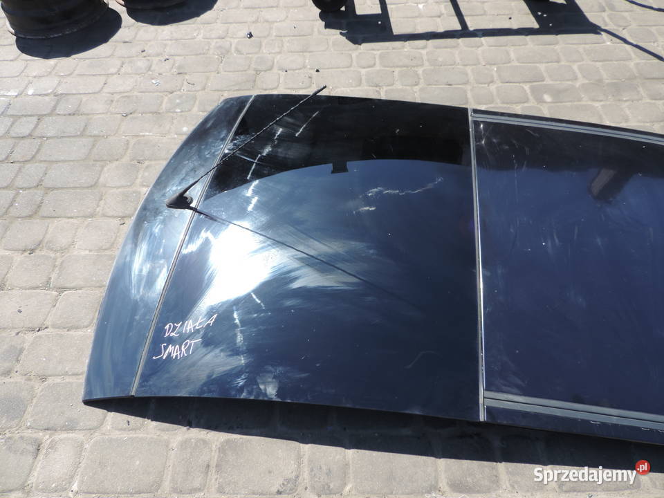 SZYBERDACH PANORAMA SMART FORFOUR 454 małopolskie