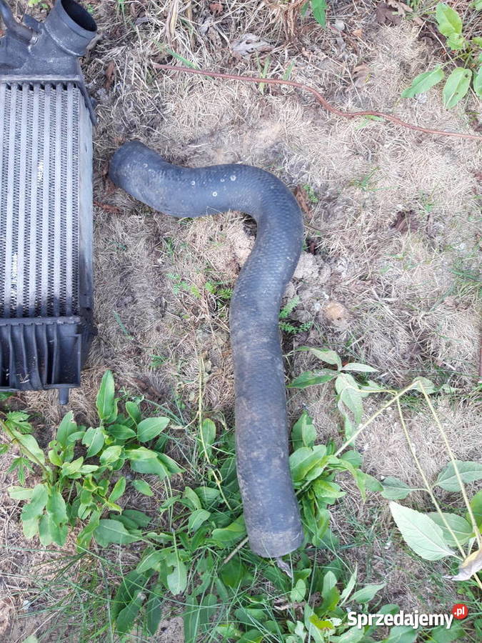 Citroen 20 hdi 2001 r intercooler Kielce sprzedam