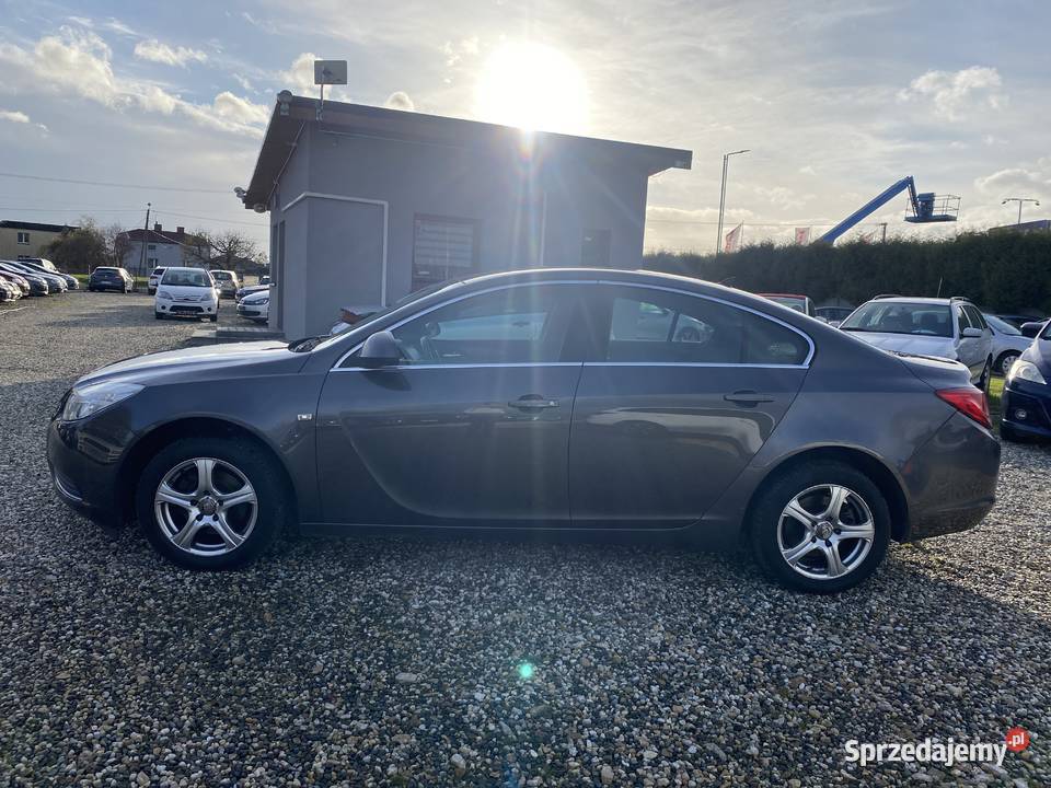 Opel Insygnia Paniówki