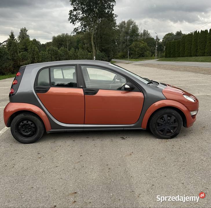 Smart forfour 11 benzyna 2005r Motoryzacja podkarpackie