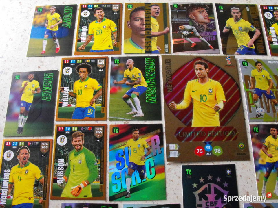 Karty FIFA 365 PANINI karty z piłkarzami Pozostałe Mykanów
