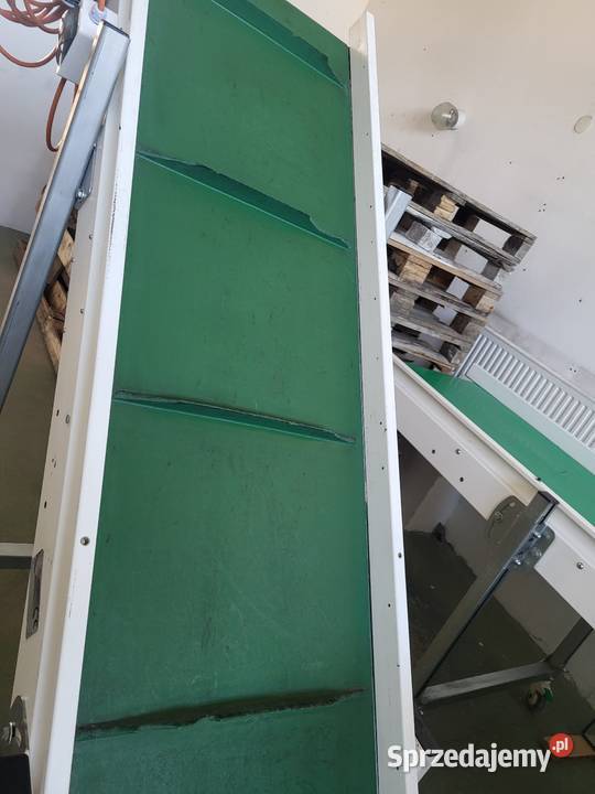 Taśmociąg prosty przenośnik tasmowy 245 x 60 Białogard