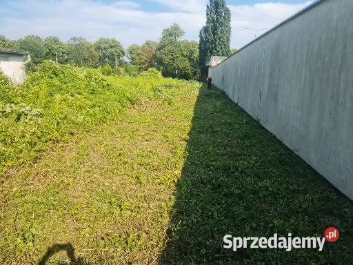 koszenie traw wycinki drzew ogrodzenia Usługi Gdańsk