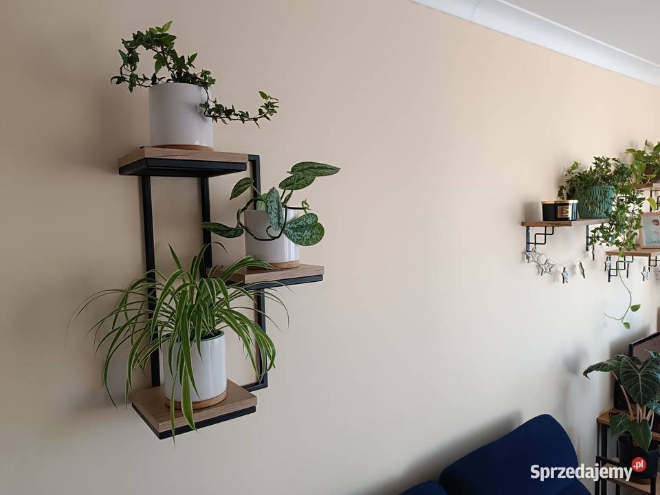 Kwietnik Potrójny Na Ścianę Loft Białystok