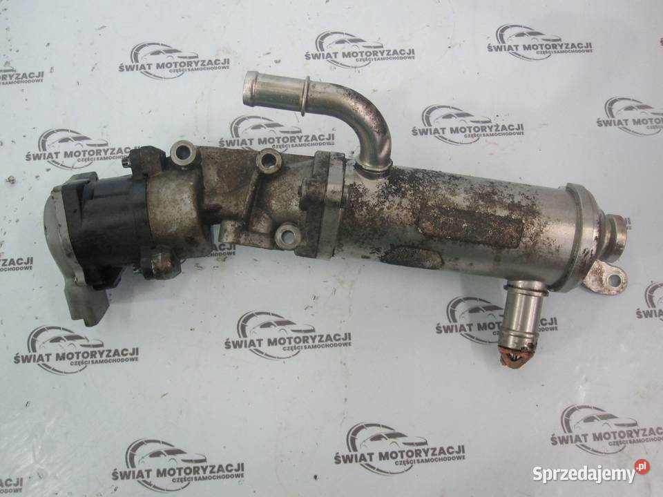 DISCOVERY 08r 27 TDV6 276DT 190 chłodniczka osobowe Kielce