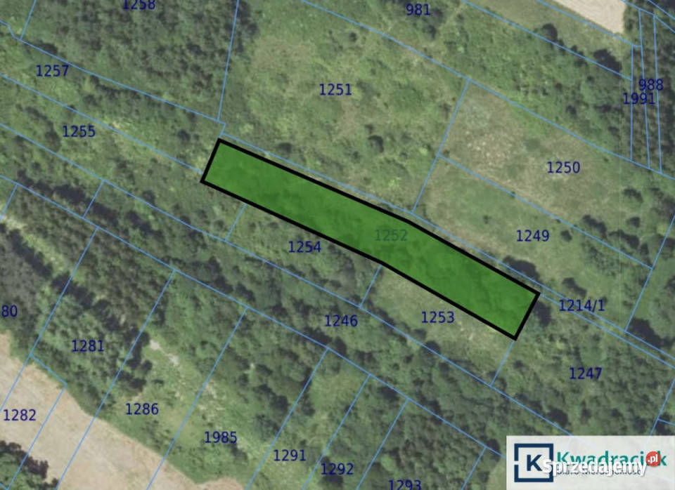 sprzedaży działki 9400m2 Łężyny 2zł/m2 sprzedam