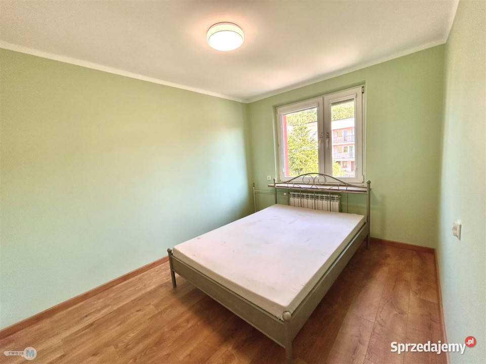 wynajmu domu szeregowego Kielce 259m2 Wynajem sprzedam