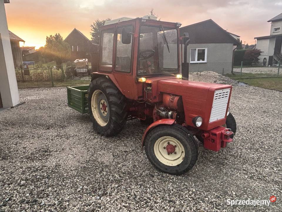 T25 Wladimirec 82r 3220mth Borzęcin