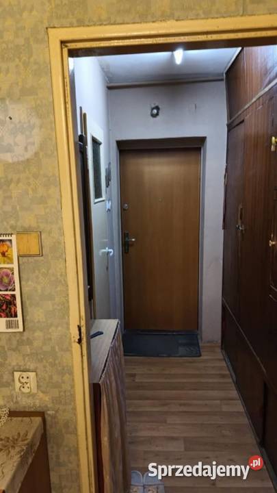 2pok 37met Ogrodu Botanicznego WINDA ZARAZ Wrocław