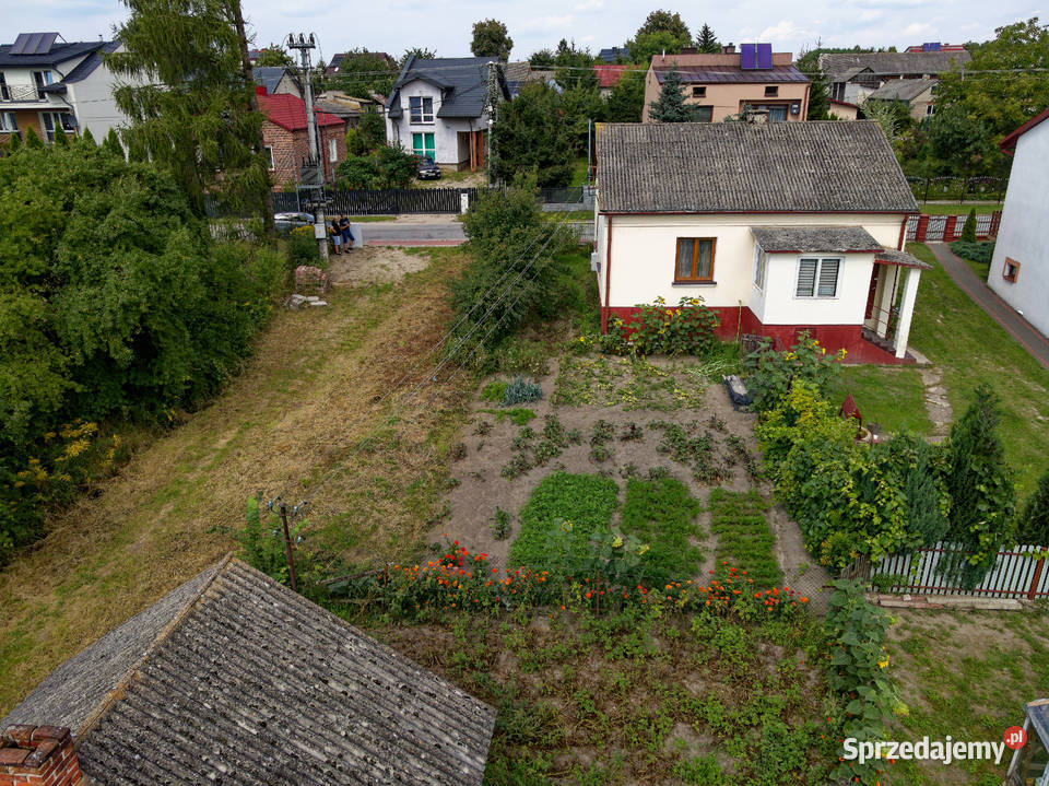 Sprzedam dom z siedliskiem 1024 m2 węglowe Sprzedaż Pałecznica