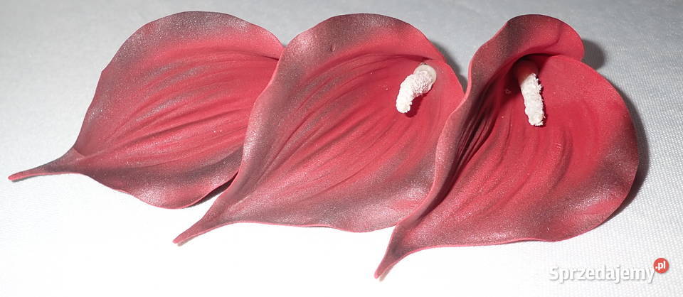 Kalia sztuczna wyrobowa piankowa do bukietów 6 wielokolorowy