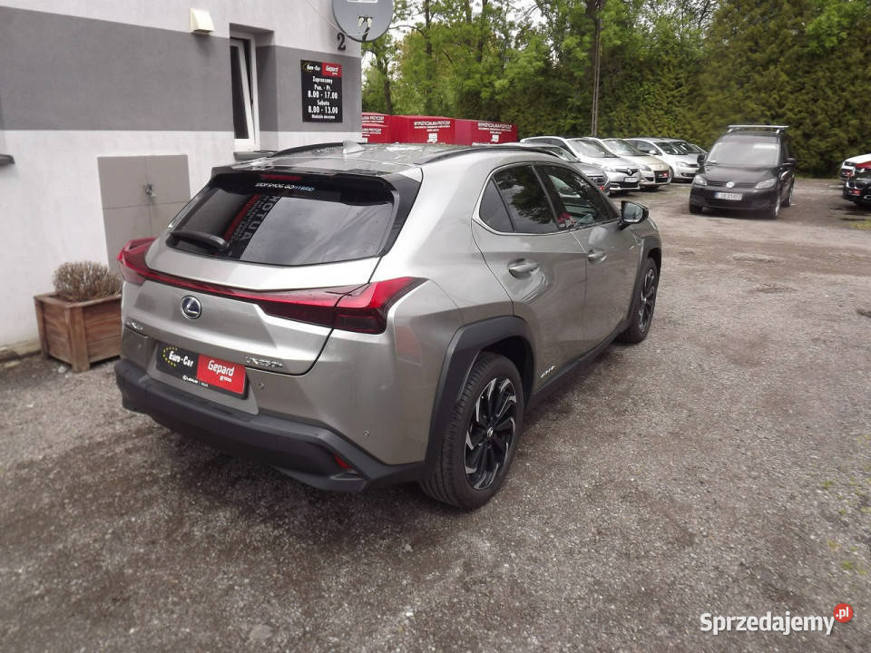 Lexus UX światła do jazdy dziennej UX Janów Lubelski
