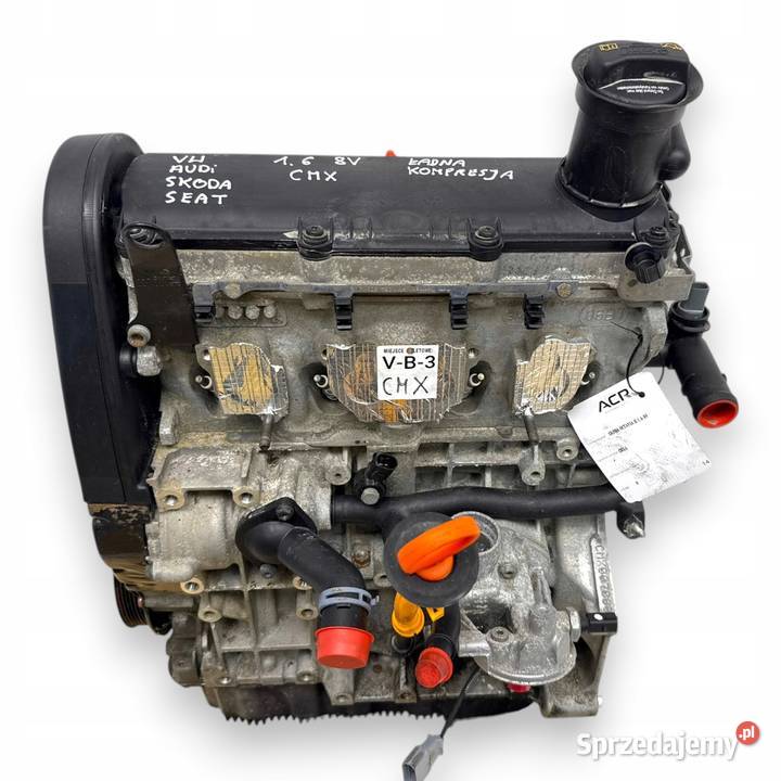SILNIK BGU BSE CMX Audi A3 II 8P VW Golf V VI Silniki kompletne Chełm