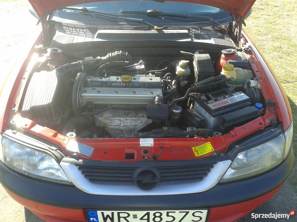 vectra b Exclusive Edition obniżone zawieszenie Radom