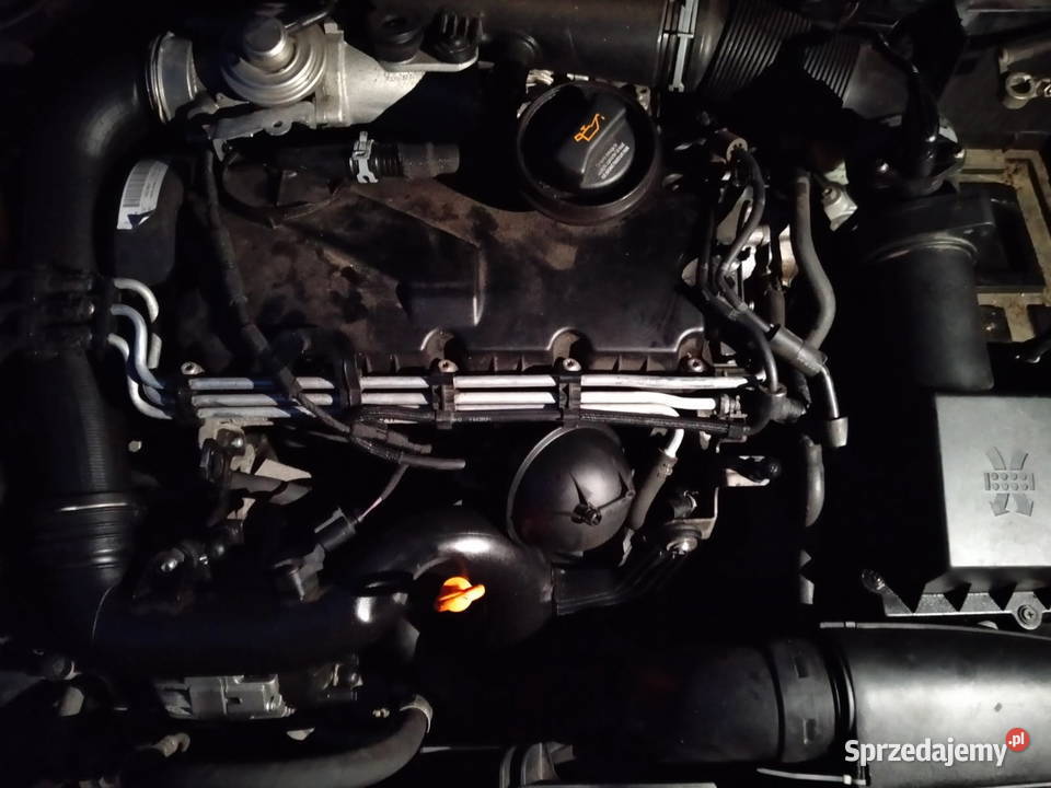 Silnik 19 TDI BXE osobowe Bełchatów