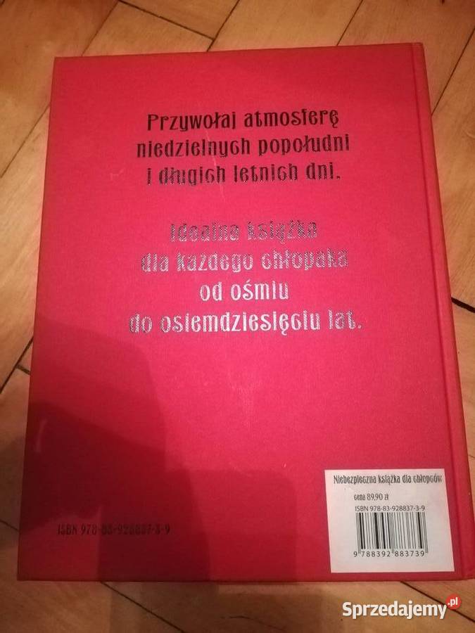 Niebezpieczna książka chłopców Gonn Hal Iggulden Łódź
