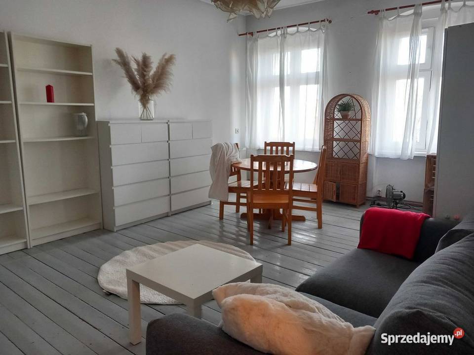 1pok 40met Trzebnickiej PIWNICA Wrocław Liczba pokoi 1