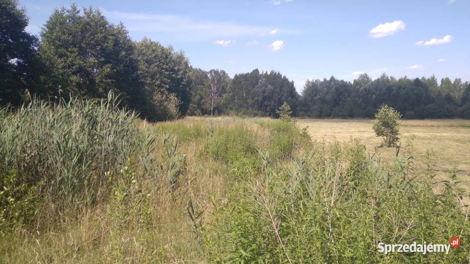 Sprzedam działkę Białystok 3193m Osiedle Zagórki 109zł/m2