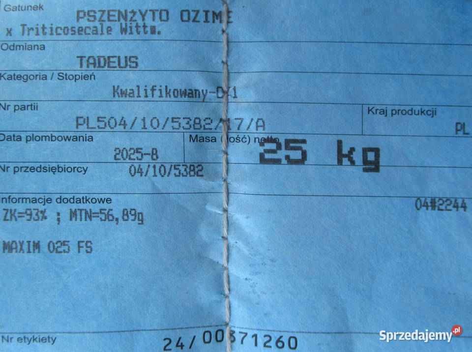 Pszenżyto ozime Tadeus pierwszy centrali sprzedam