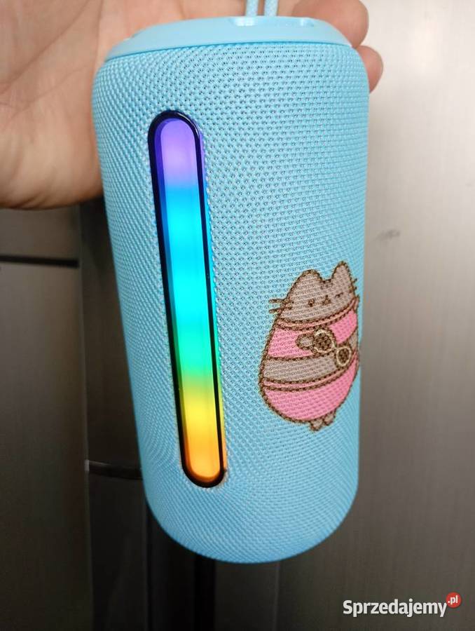 Głośnik przenośny pusheen