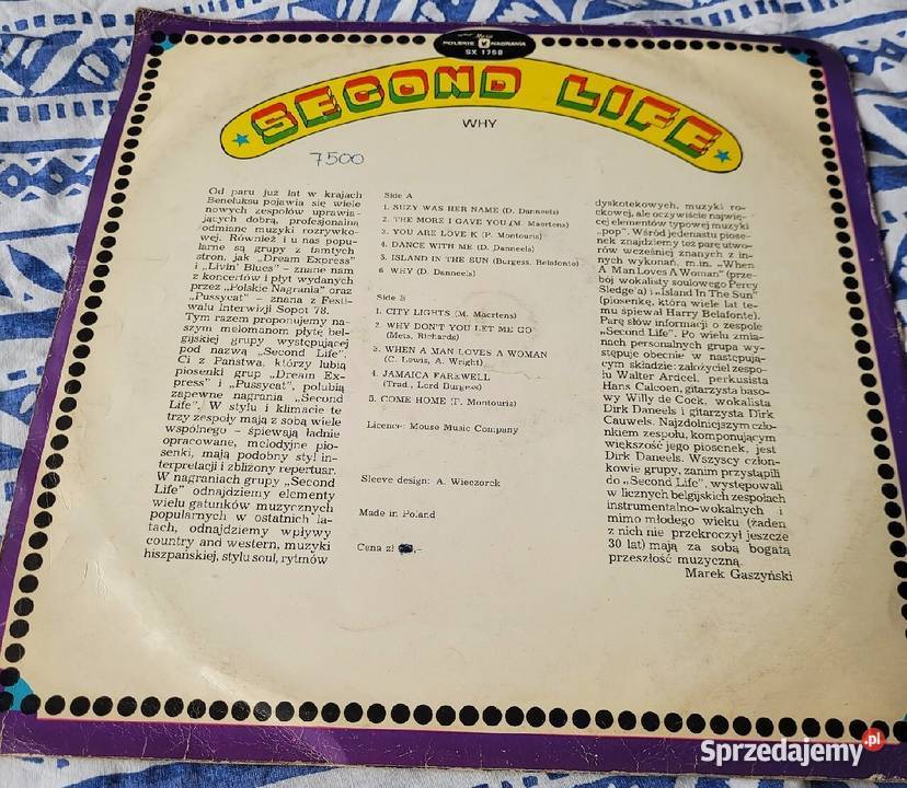 Second Life Why płyta winylowa Chełmno