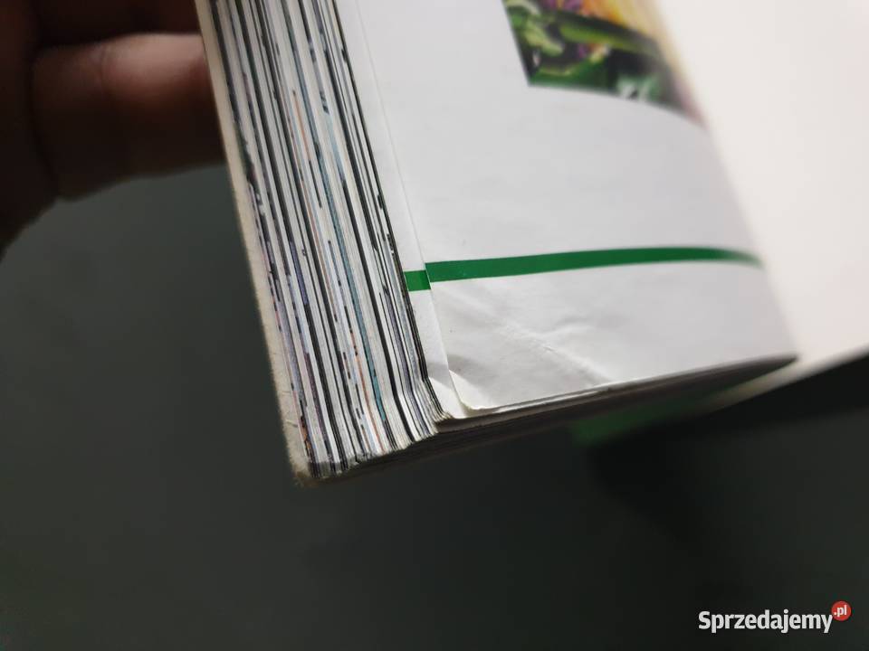 Green Arrow Kołczan część 1 wydanie 1 Gdynia sprzedam