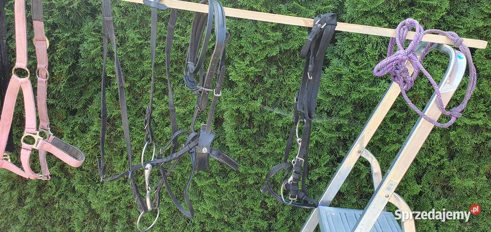 Siodło Zestaw Do Jazdy Konnej Szczebrzeszyn sprzedam