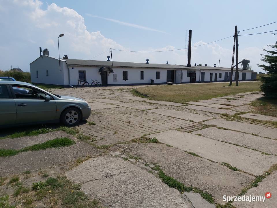 Wynajmę halę produkcyjną stolarnię maszyny Gdańsk