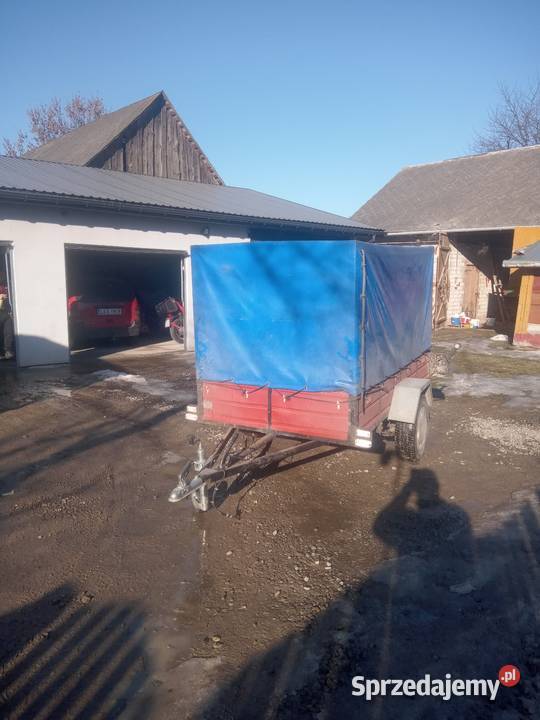 Przyczepka samochodowa lekka Rożki-Kolonia