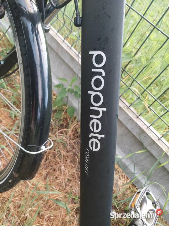 Rower prophete comfort Sulejów
