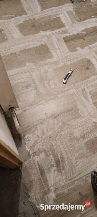 Usługi budowlane Włocławek