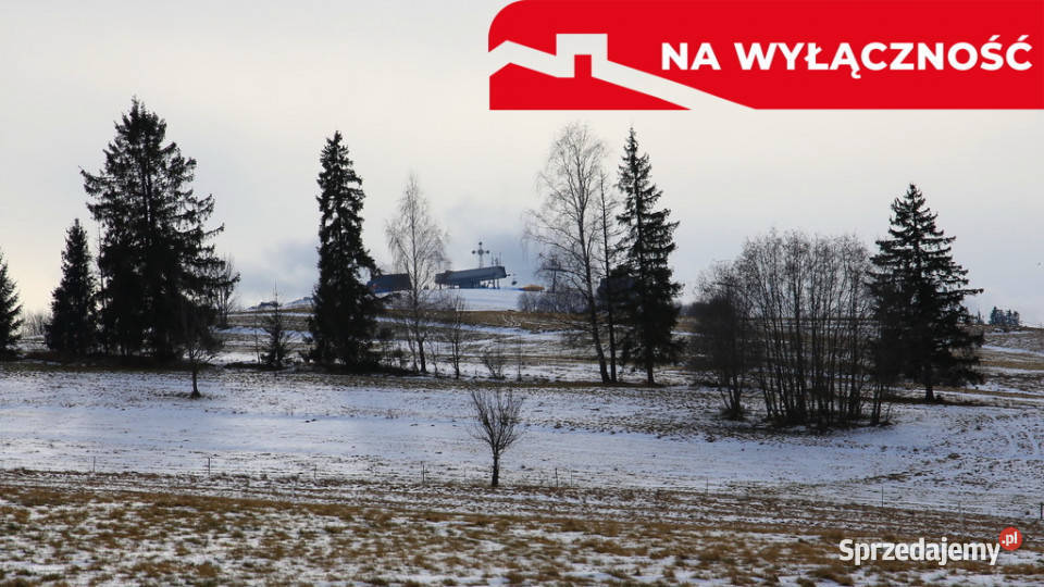 Inwestycyjna działka stoku narciarskim Sprzedaż Czarna Góra sprzedam