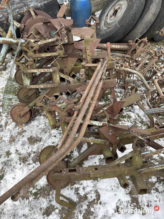 Wielorak obsypnik nieuszkodzony Robertów