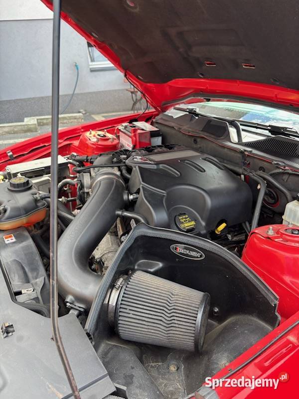 Nustang Premium Pony Package zadbany dużo 2/3 Piotrków Trybunalski sprzedam