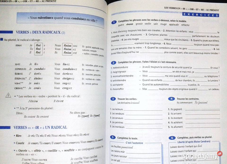 Grammaire progressive du franais avec 600 Chełm