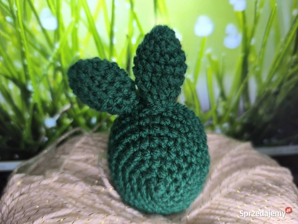 Kurczaczek jajko Parzniew