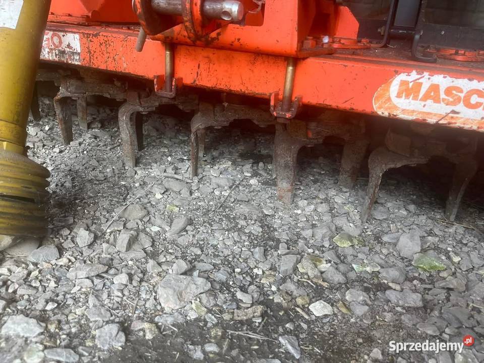 Maschio dc 25m świętokrzyskie