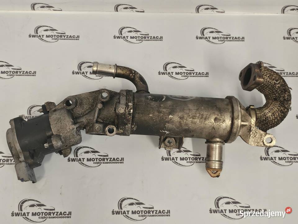 RANGE ROVER SPORT 27 TDV6 276DT 190 chłodniczka Recyrkulacja spalin EGR