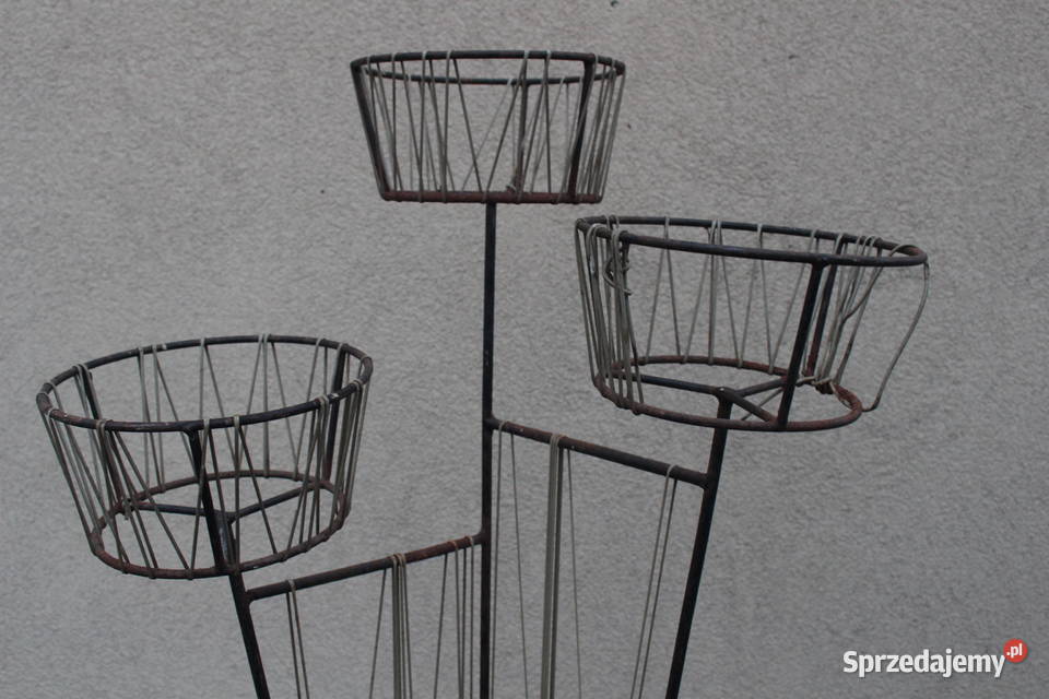 kwietnik żyłkowy prl wielkopolskie Kalisz sprzedam