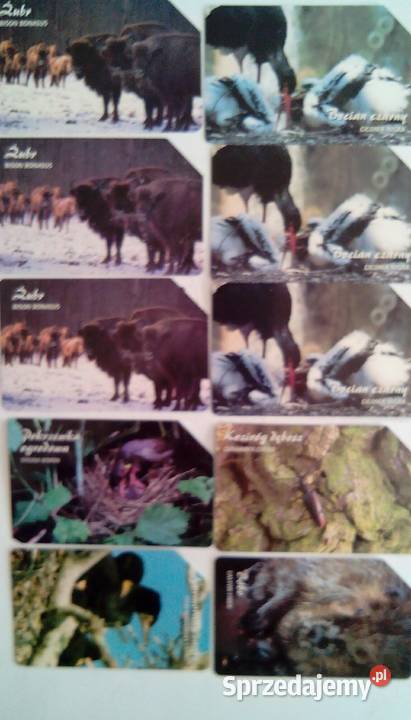 Karty telefoniczne Szczecinek