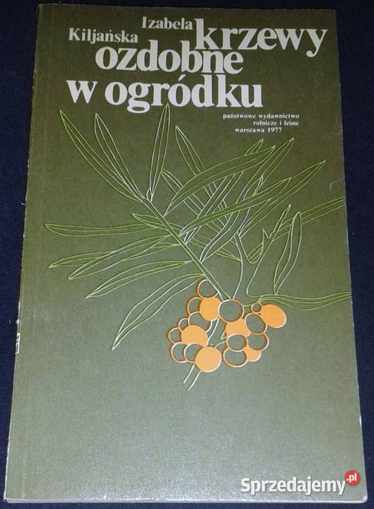 Krzewy ozdobne w ogródku Izabela Kiljańska Chełm