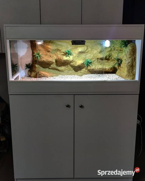 Terrarium żółwia greckiego gekona lamparciego Żory