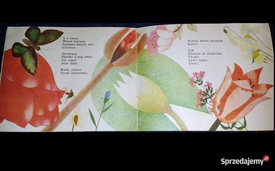 Lato Walancin Łuksza lubelskie Chełm