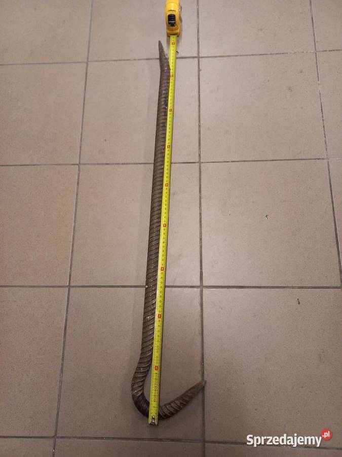 Brecha łom łódzkie Łódź