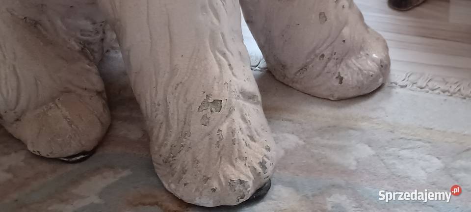 CHARTA AFGAŃSKI CONTINETNTAL POWOJENNY MODEL 83 Swarzędz