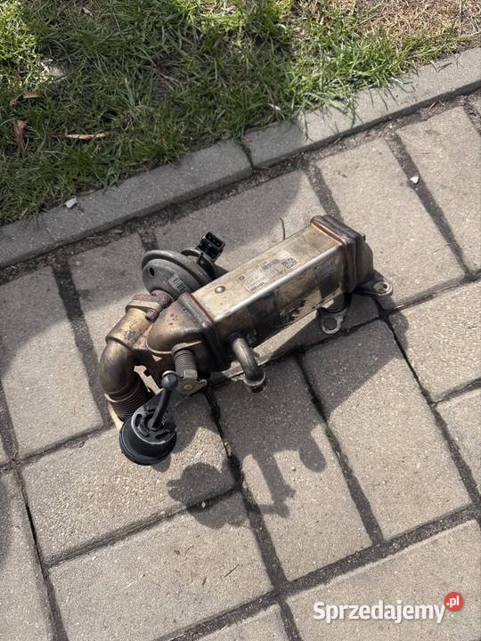 Chłodnicza spalin BMW n47 Białystok