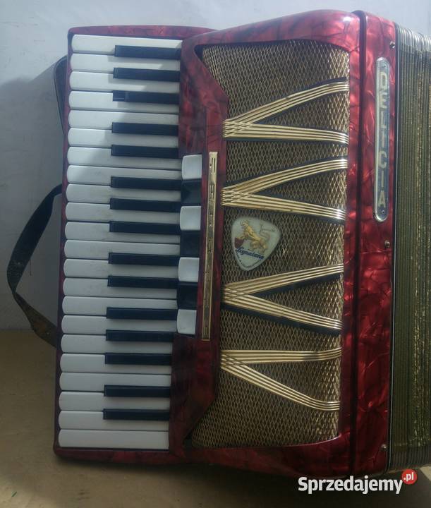 Akordeon DELICIA lubuskie Nowa Sól