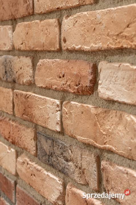 Płytki z cegły Zamkowa 05 Płytki i fugi Warszawa