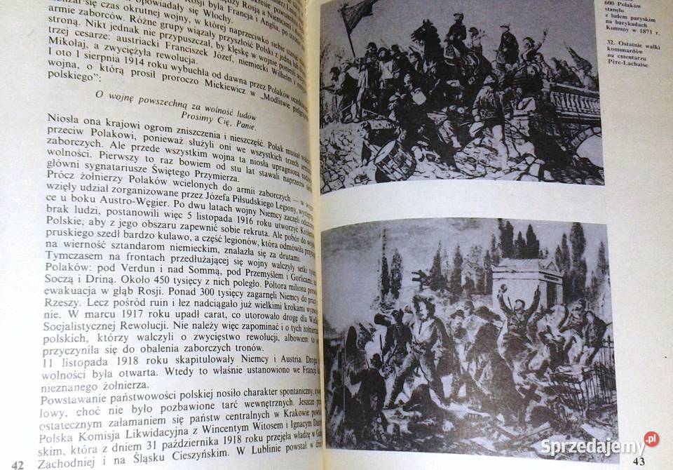 Grób Nieznanego Żołnierza Apoloniusz Zawilski miękka Chełm