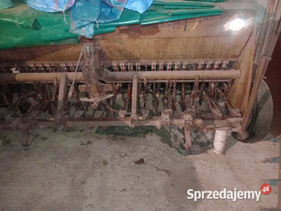 Siewnik poznaniak Ożarów